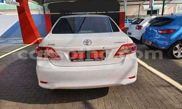 Buy Used Toyota Corolla White Car in Maseru in Maseru Buy Used Toyota Corolla White Car in Maseru in Maseru