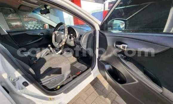Buy Used Toyota Corolla White Car in Maseru in Maseru Buy Used Toyota Corolla White Car in Maseru in Maseru