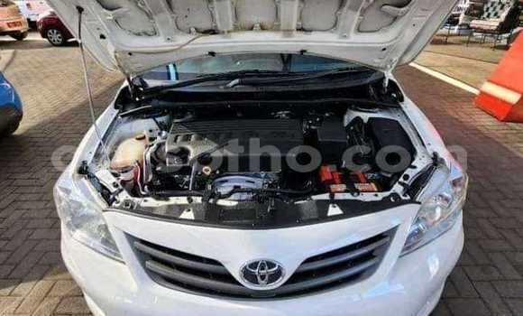 Buy Used Toyota Corolla White Car in Maseru in Maseru Buy Used Toyota Corolla White Car in Maseru in Maseru