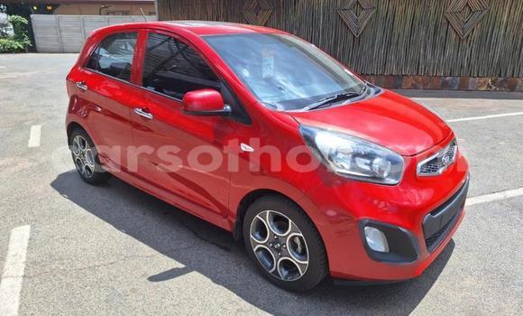 Sayi Na hannu Kia Picanto Red Mota in Maseru a Maseru Sayi Na hannu Kia Picanto Red Mota in Maseru a Maseru