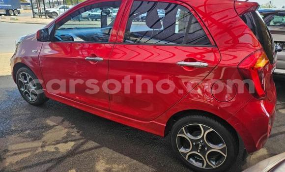 Sayi Na hannu Kia Picanto Red Mota in Maseru a Maseru Sayi Na hannu Kia Picanto Red Mota in Maseru a Maseru