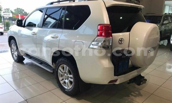 Acheter Occasion Voiture Toyota Land Cruiser Prado Blanc à Import - Dubai, Maseru Acheter Occasion Voiture Toyota Land Cruiser Prado Blanc à Import - Dubai, Maseru