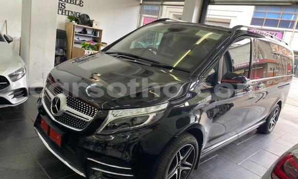 اشتري مستعمل Mercedes-Benz V-klasse Other سيارة في Maseru في Maseru اشتري مستعمل Mercedes-Benz V-klasse Other سيارة في Maseru في Maseru