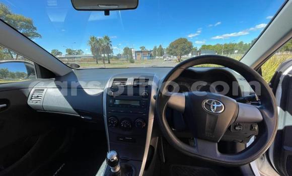 Acheter Occasion Voiture Toyota Corolla Blanc à Maseru, Maseru Acheter Occasion Voiture Toyota Corolla Blanc à Maseru, Maseru