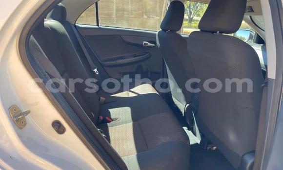 Acheter Occasion Voiture Toyota Corolla Blanc à Maseru, Maseru Acheter Occasion Voiture Toyota Corolla Blanc à Maseru, Maseru