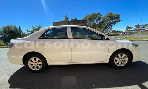 Acheter Occasion Voiture Toyota Corolla Blanc à Maseru, Maseru Acheter Occasion Voiture Toyota Corolla Blanc à Maseru, Maseru