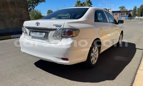 Acheter Occasion Voiture Toyota Corolla Blanc à Maseru, Maseru Acheter Occasion Voiture Toyota Corolla Blanc à Maseru, Maseru