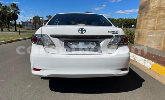 Acheter Occasion Voiture Toyota Corolla Blanc à Maseru, Maseru Acheter Occasion Voiture Toyota Corolla Blanc à Maseru, Maseru