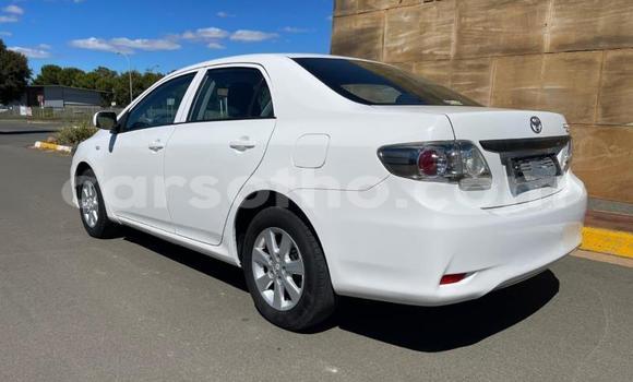 Acheter Occasion Voiture Toyota Corolla Blanc à Maseru, Maseru Acheter Occasion Voiture Toyota Corolla Blanc à Maseru, Maseru