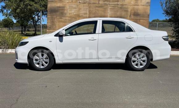 Acheter Occasion Voiture Toyota Corolla Blanc à Maseru, Maseru Acheter Occasion Voiture Toyota Corolla Blanc à Maseru, Maseru