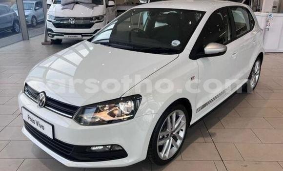 Cars for sale in lesotho - carsotho Cars for sale in lesotho - carsotho