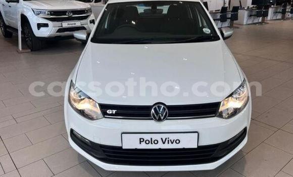 اشتري مستعمل Volkswagen Polo White سيارة في Maseru في Maseru اشتري مستعمل Volkswagen Polo White سيارة في Maseru في Maseru