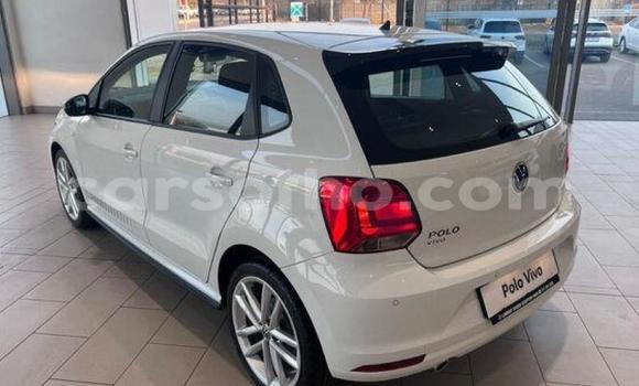 اشتري مستعمل Volkswagen Polo White سيارة في Maseru في Maseru اشتري مستعمل Volkswagen Polo White سيارة في Maseru في Maseru