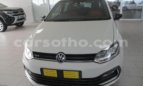 اشتري مستعمل Volkswagen Polo White سيارة في Maseru في Maseru اشتري مستعمل Volkswagen Polo White سيارة في Maseru في Maseru
