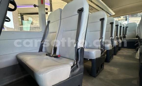 اشتري مستعمل Toyota Coaster White سيارة في Maseru في Maseru اشتري مستعمل Toyota Coaster White سيارة في Maseru في Maseru