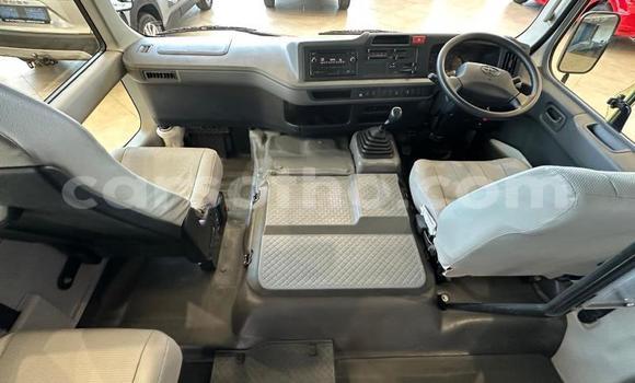اشتري مستعمل Toyota Coaster White سيارة في Maseru في Maseru اشتري مستعمل Toyota Coaster White سيارة في Maseru في Maseru