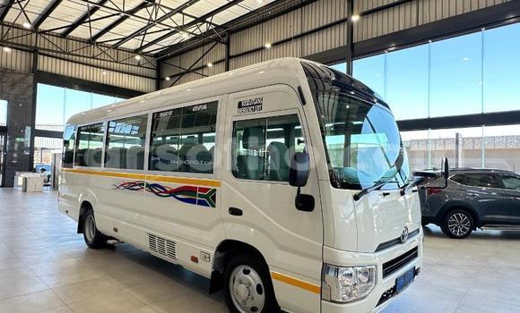 اشتري مستعمل Toyota Coaster White سيارة في Maseru في Maseru اشتري مستعمل Toyota Coaster White سيارة في Maseru في Maseru
