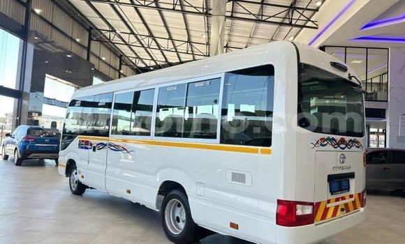اشتري مستعمل Toyota Coaster White سيارة في Maseru في Maseru اشتري مستعمل Toyota Coaster White سيارة في Maseru في Maseru