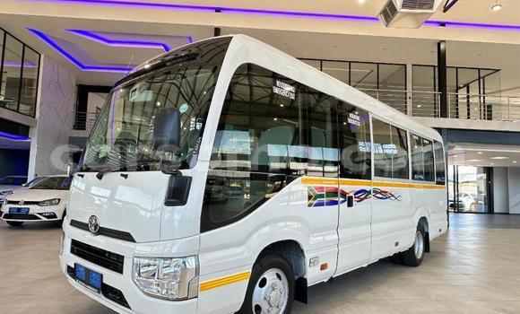 اشتري مستعمل Toyota Coaster White سيارة في Maseru في Maseru اشتري مستعمل Toyota Coaster White سيارة في Maseru في Maseru