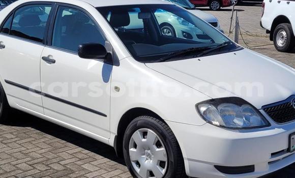 Cars for sale in lesotho - carsotho Cars for sale in lesotho - carsotho