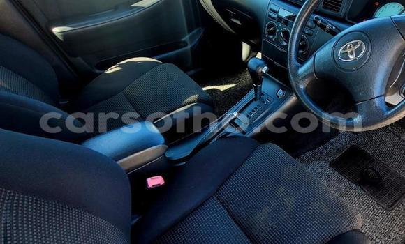 اشتري مستعمل Toyota Corolla White سيارة في Maseru في Maseru اشتري مستعمل Toyota Corolla White سيارة في Maseru في Maseru