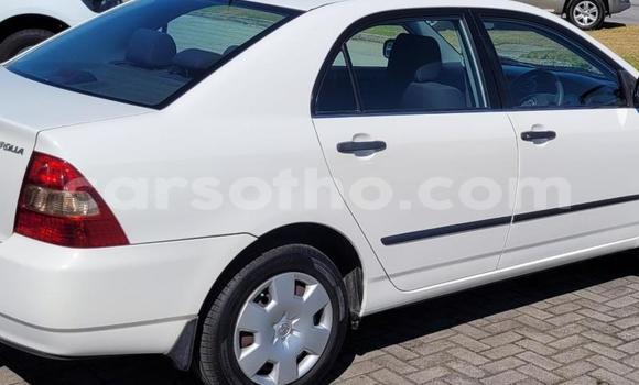 اشتري مستعمل Toyota Corolla White سيارة في Maseru في Maseru اشتري مستعمل Toyota Corolla White سيارة في Maseru في Maseru