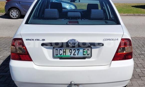 اشتري مستعمل Toyota Corolla White سيارة في Maseru في Maseru اشتري مستعمل Toyota Corolla White سيارة في Maseru في Maseru