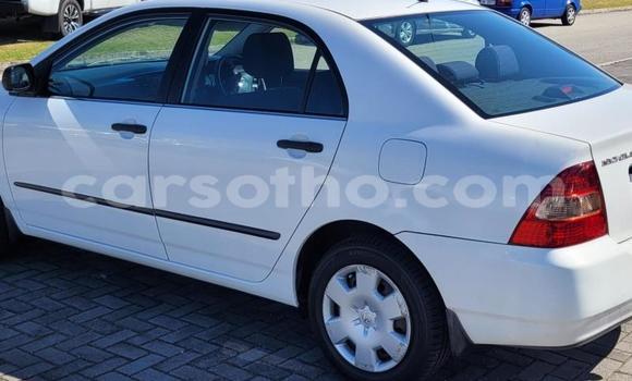 اشتري مستعمل Toyota Corolla White سيارة في Maseru في Maseru اشتري مستعمل Toyota Corolla White سيارة في Maseru في Maseru