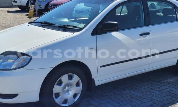 اشتري مستعمل Toyota Corolla White سيارة في Maseru في Maseru اشتري مستعمل Toyota Corolla White سيارة في Maseru في Maseru
