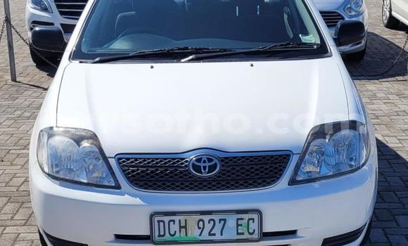 اشتري مستعمل Toyota Corolla White سيارة في Maseru في Maseru اشتري مستعمل Toyota Corolla White سيارة في Maseru في Maseru