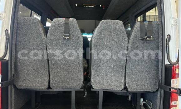Buy Used Mercedes‒Benz Sprinter White Truck in Maseru in Maseru Buy Used Mercedes‒Benz Sprinter White Truck in Maseru in Maseru