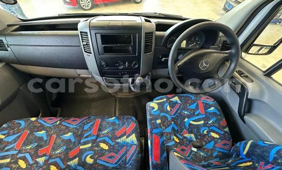 Buy Used Mercedes‒Benz Sprinter White Truck in Maseru in Maseru Buy Used Mercedes‒Benz Sprinter White Truck in Maseru in Maseru