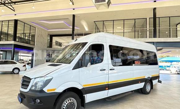 Buy Used Mercedes‒Benz Sprinter White Truck in Maseru in Maseru Buy Used Mercedes‒Benz Sprinter White Truck in Maseru in Maseru