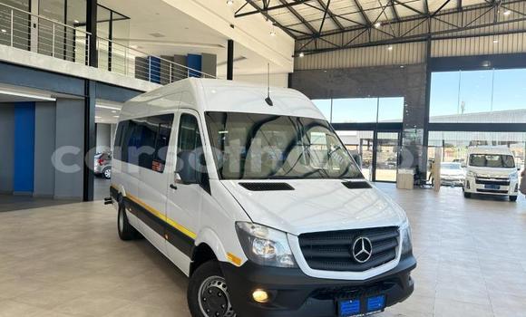 Buy Used Mercedes‒Benz Sprinter White Truck in Maseru in Maseru Buy Used Mercedes‒Benz Sprinter White Truck in Maseru in Maseru