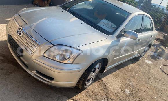 Buy Used Toyota Allex Other Car in Maputsoa in Leribe Buy Used Toyota Allex Other Car in Maputsoa in Leribe