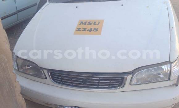 اشتري مستعمل Toyota Corolla White سيارة في Mafeteng في Mafeteng اشتري مستعمل Toyota Corolla White سيارة في Mafeteng في Mafeteng