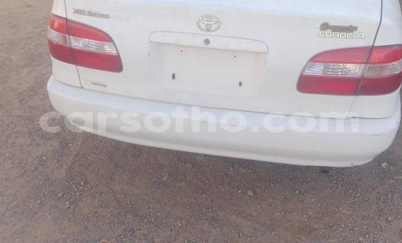 Buy Used Toyota Corolla White Car in Mafeteng in Mafeteng Buy Used Toyota Corolla White Car in Mafeteng in Mafeteng