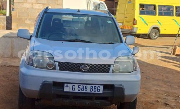 Buy Used Nissan X–Trail Other Car in Maputsoa in Leribe Buy Used Nissan X–Trail Other Car in Maputsoa in Leribe