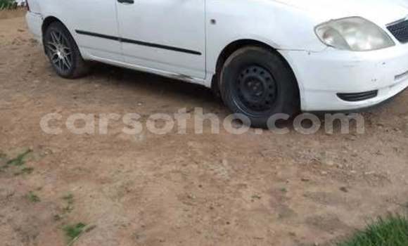 Cars for sale in lesotho - carsotho Cars for sale in lesotho - carsotho