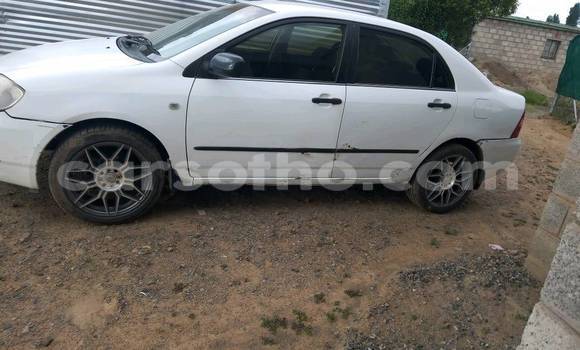 Buy Used Toyota Corolla White Car in Maputsoa in Leribe Buy Used Toyota Corolla White Car in Maputsoa in Leribe
