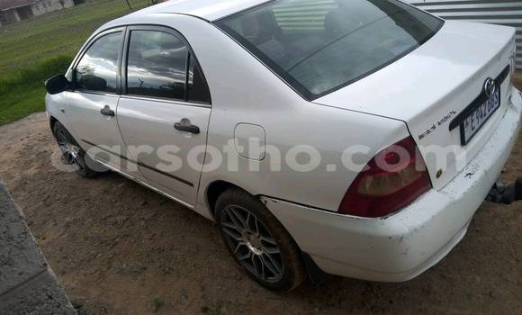 Buy Used Toyota Corolla White Car in Maputsoa in Leribe Buy Used Toyota Corolla White Car in Maputsoa in Leribe