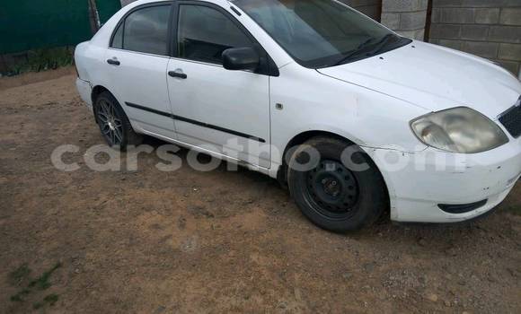 Buy Used Toyota Corolla White Car in Maputsoa in Leribe Buy Used Toyota Corolla White Car in Maputsoa in Leribe