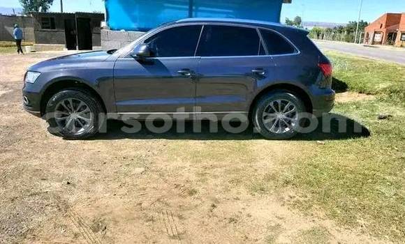 Buy Used Audi Q5 Other Car in Maputsoa in Leribe Buy Used Audi Q5 Other Car in Maputsoa in Leribe