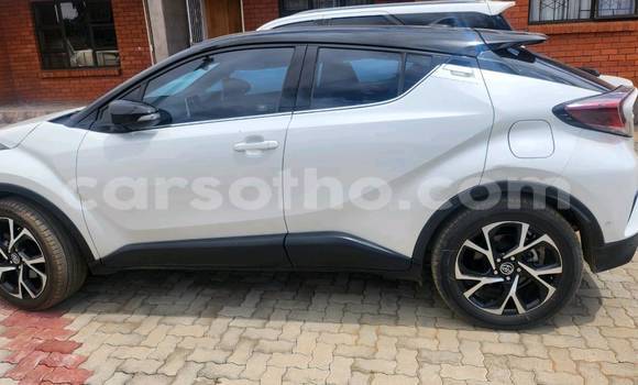 Buy Used Toyota C-HR White Car in Maputsoa in Leribe Buy Used Toyota C-HR White Car in Maputsoa in Leribe
