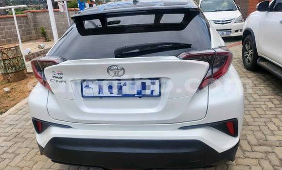 Buy Used Toyota C-HR White Car in Maputsoa in Leribe Buy Used Toyota C-HR White Car in Maputsoa in Leribe