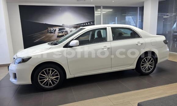 اشتري مستعمل Toyota Corolla White سيارة في Maseru في Maseru اشتري مستعمل Toyota Corolla White سيارة في Maseru في Maseru