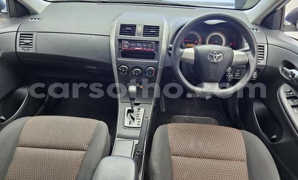 اشتري مستعمل Toyota Corolla White سيارة في Maseru في Maseru اشتري مستعمل Toyota Corolla White سيارة في Maseru في Maseru