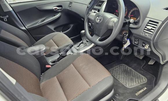 اشتري مستعمل Toyota Corolla White سيارة في Maseru في Maseru اشتري مستعمل Toyota Corolla White سيارة في Maseru في Maseru