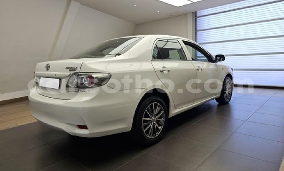 اشتري مستعمل Toyota Corolla White سيارة في Maseru في Maseru اشتري مستعمل Toyota Corolla White سيارة في Maseru في Maseru