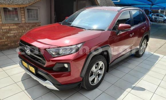 اشتري مستعمل Toyota RAV4 Red سيارة في Maseru في Maseru